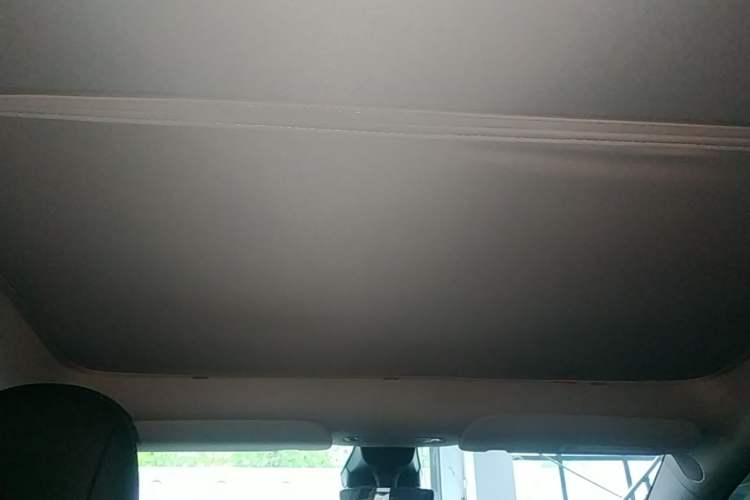 Used Tesla Model Y 2022 Rear-Wheel-Drive Version Headliner
