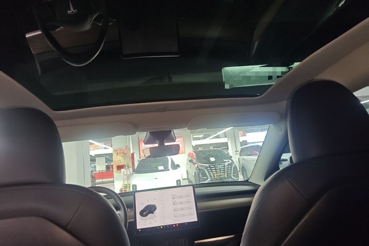 Used Tesla Model Y 2022 Performance High-Performance All-Wheel-Drive Version Headliner