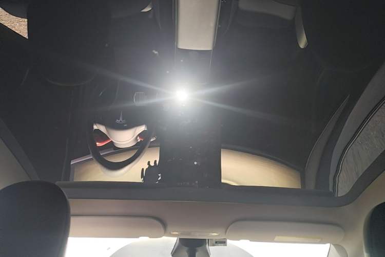 Used Tesla Model Y 2022 Rear-Wheel-Drive Version Headliner