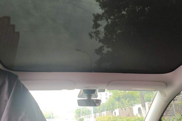 Used Tesla Model Y 2022 Rear-Wheel-Drive Version Headliner