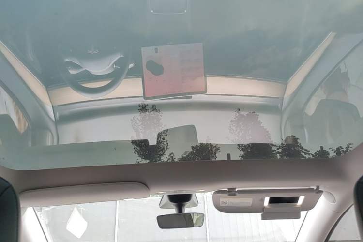 Used Tesla Model Y 2022 Long-Range All-Wheel-Drive Version Headliner