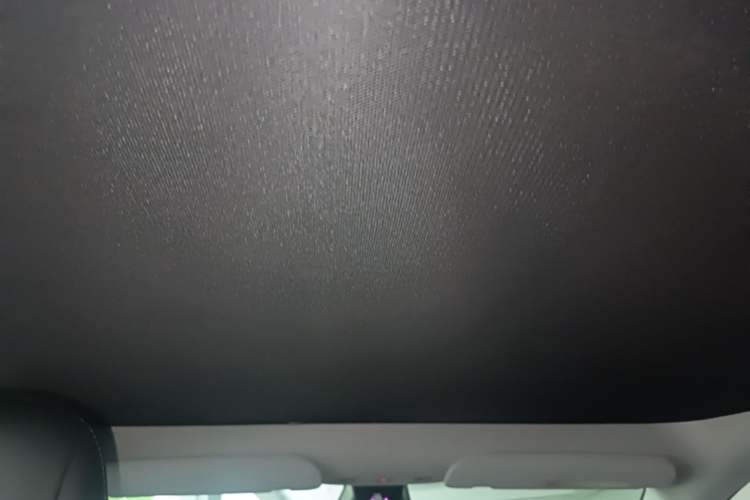 Used Tesla Model Y 2022 Long-Range All-Wheel-Drive Version Headliner