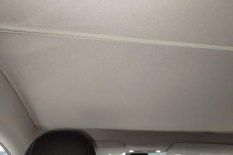 Used Tesla Model Y 2022 Rear-Wheel-Drive Version Headliner