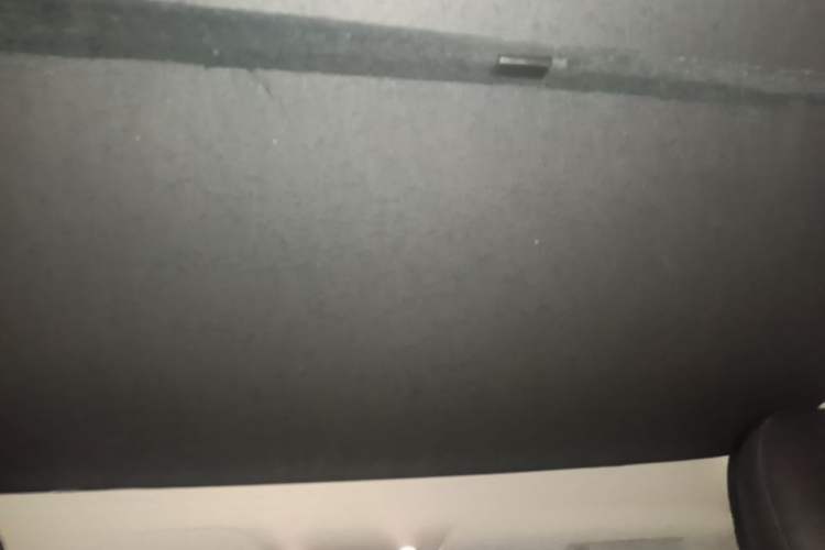 Used Tesla Model Y 2022 Revised Version Rear-Wheel Drive Headliner