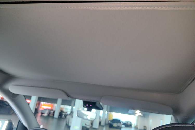 Used Tesla Model Y 2022 Rear-Wheel-Drive Version Headliner