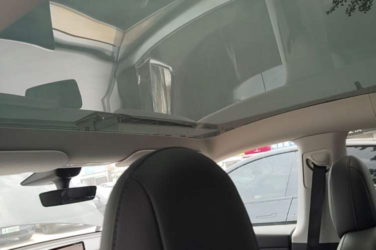 Used Tesla Model Y 2022 Rear-Wheel-Drive Version Headliner