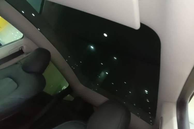 Used Tesla Model Y 2022 Rear-Wheel-Drive Version Headliner