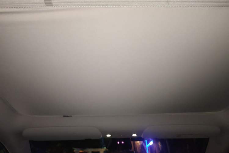 Used Tesla Model Y 2022 Revised Version Rear-Wheel Drive Headliner