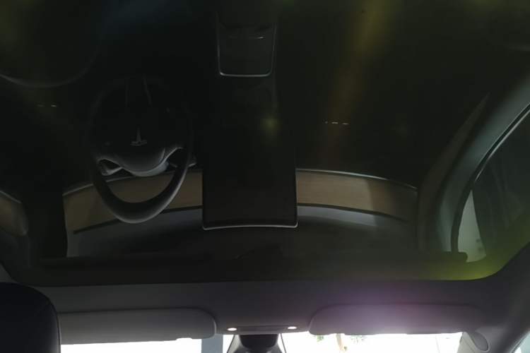 Used Tesla Model Y 2022 Long-Range All-Wheel-Drive Version Headliner