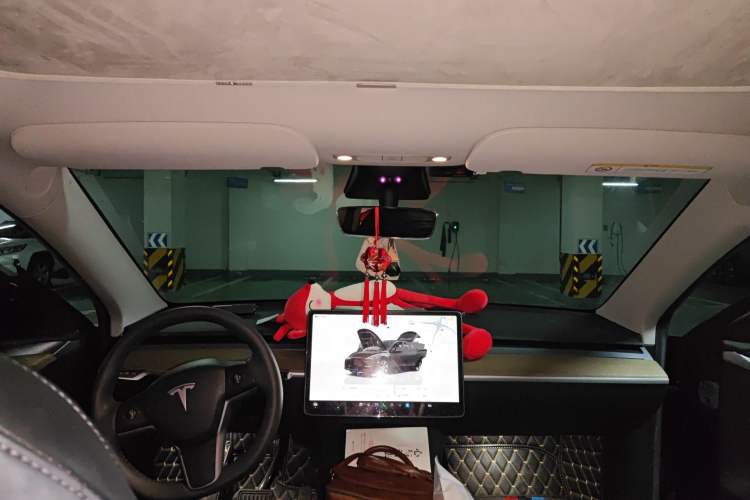 Used Tesla Model Y 2022 Revised Version Rear-Wheel Drive Headliner