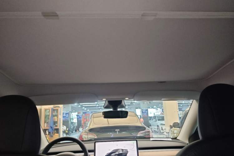Used Tesla Model Y 2022 Rear-Wheel-Drive Version Headliner