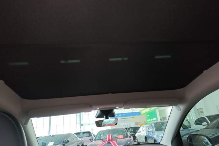 Used Tesla Model Y 2022 Revised Version Rear-Wheel Drive Headliner