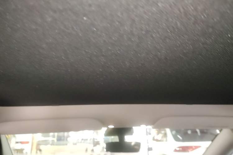 Used Tesla Model Y 2022 Rear-Wheel-Drive Version Headliner