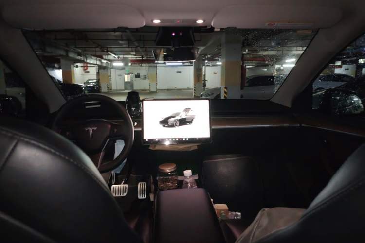 Used Tesla Model Y 2022 Performance High-Performance All-Wheel-Drive Version Headliner