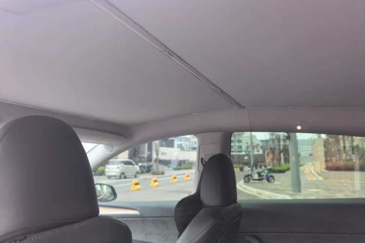 Used Tesla Model Y 2022 Rear-Wheel-Drive Version Headliner