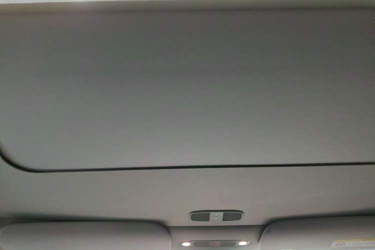 Used Tesla Model Y 2022 Rear-Wheel-Drive Version Headliner