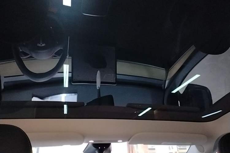 Used Tesla Model Y 2022 Revised Version Rear-Wheel Drive Headliner
