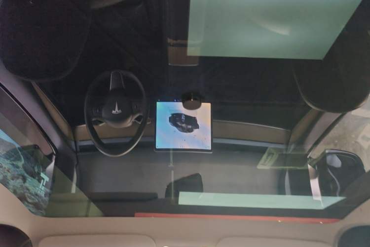 Used Tesla Model Y 2022 Rear-Wheel-Drive Version Headliner