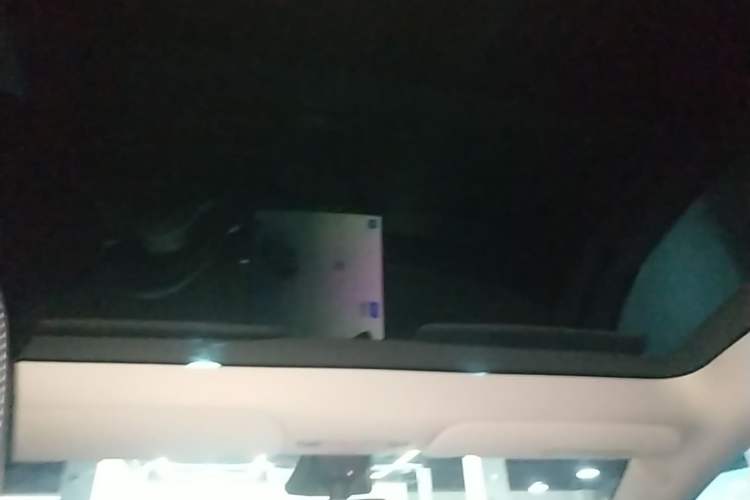 Used Tesla Model Y 2022 Rear-Wheel-Drive Version Headliner
