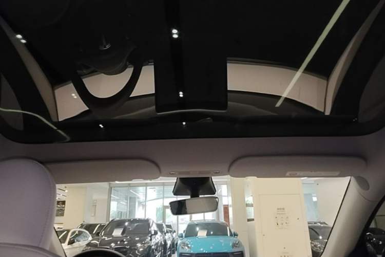 Used Tesla Model Y 2022 Revised Version Rear-Wheel Drive Headliner