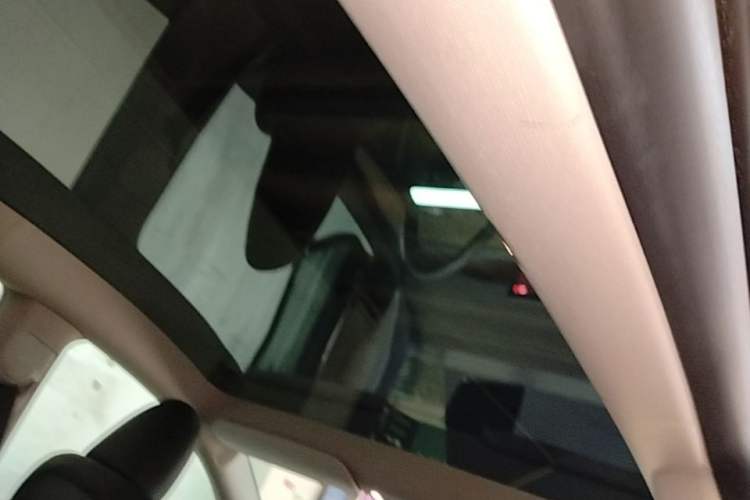 Used Tesla Model Y 2022 Rear-Wheel-Drive Version Headliner