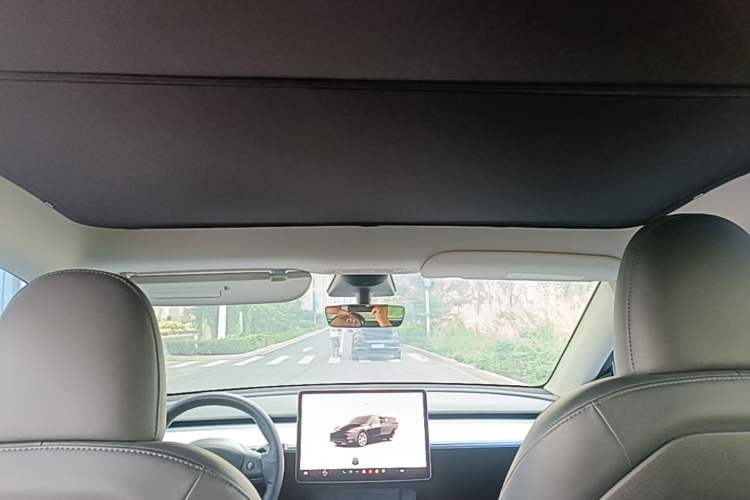 Used Tesla Model Y 2022 Revised Version Rear-Wheel Drive Headliner