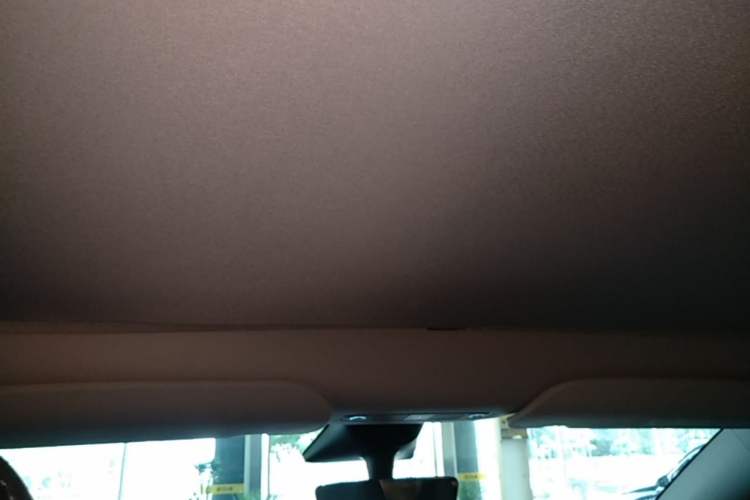 Used Tesla Model Y 2022 Revised Version Rear-Wheel Drive Headliner