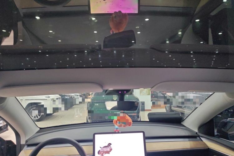 Used Tesla Model Y 2022 Revised Version Rear-Wheel Drive Headliner