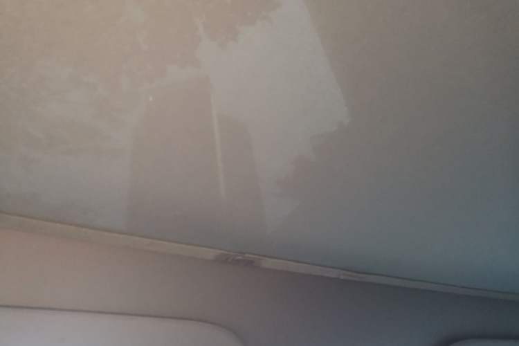 Used Tesla Model Y 2022 Revised Version Rear-Wheel Drive Headliner