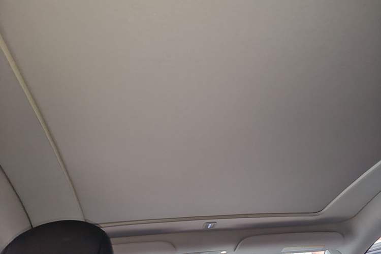 Used Tesla Model Y 2022 Long-Range All-Wheel-Drive Version Headliner