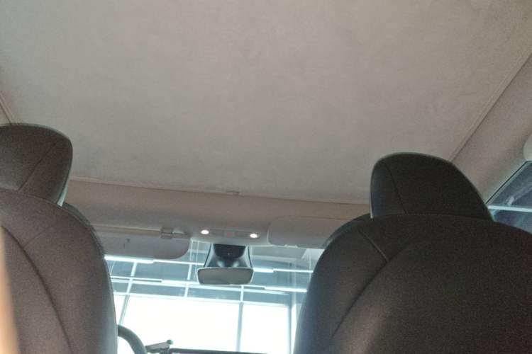 Used Tesla Model Y 2022 Rear-Wheel-Drive Version Headliner