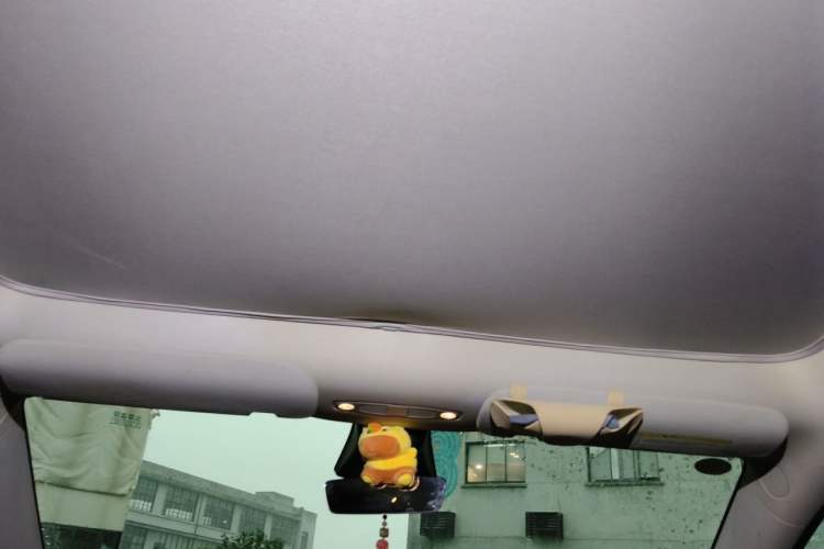 Used Tesla Model Y 2022 Rear-Wheel-Drive Version Headliner