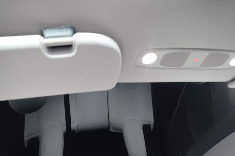 Used Tesla Model Y 2022 Performance High-Performance All-Wheel-Drive Version Headliner