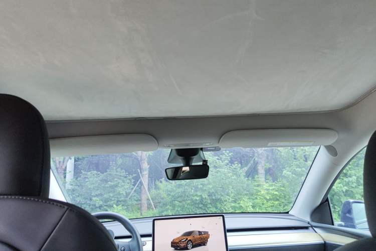 Used Tesla Model Y 2022 Rear-Wheel-Drive Version Headliner