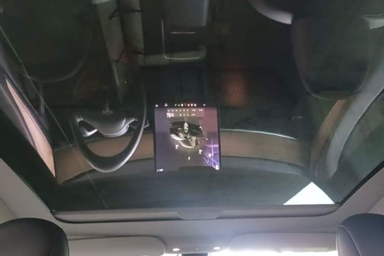 Used Tesla Model Y 2022 Rear-Wheel-Drive Version Headliner