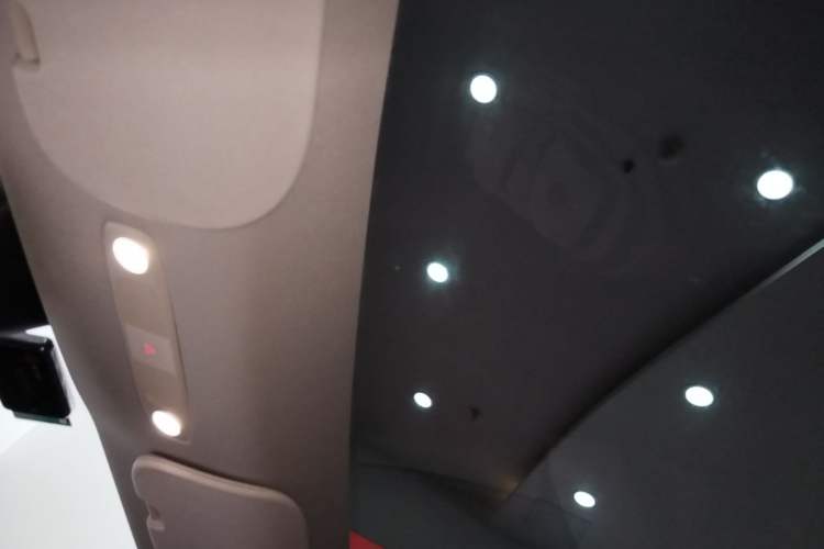 Used Tesla Model Y 2022 Rear-Wheel-Drive Version Headliner