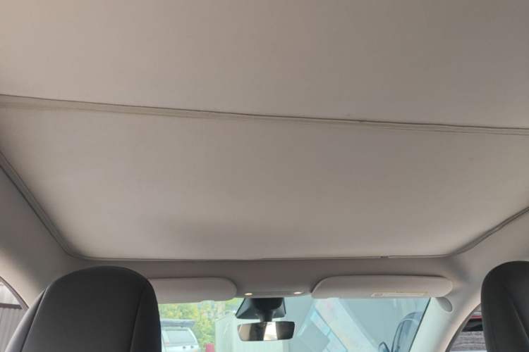Used Tesla Model Y 2022 Long-Range All-Wheel-Drive Version Headliner