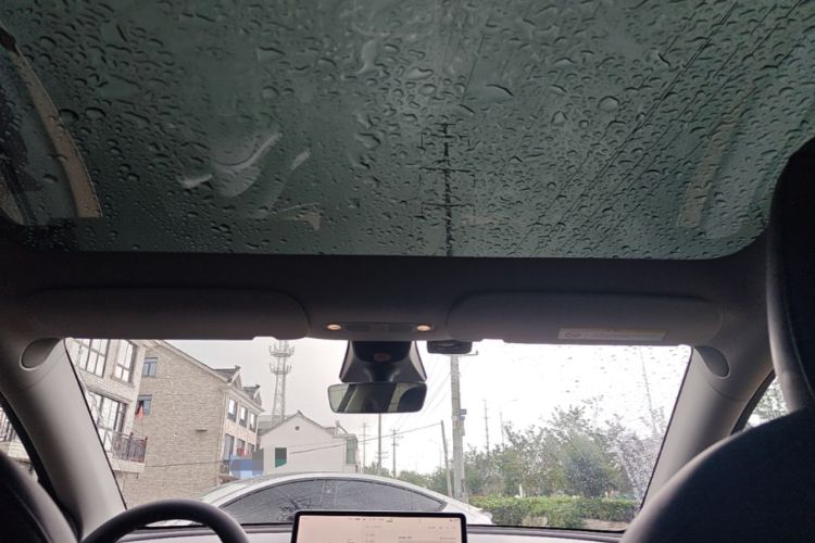 Used Tesla Model Y 2022 Long-Range All-Wheel-Drive Version Headliner