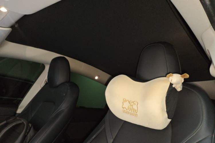 Used Tesla Model Y 2022 Performance High-Performance All-Wheel-Drive Version Headliner