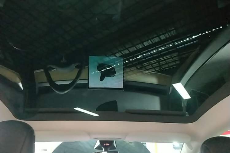Used Tesla Model Y 2022 Long-Range All-Wheel-Drive Version Headliner