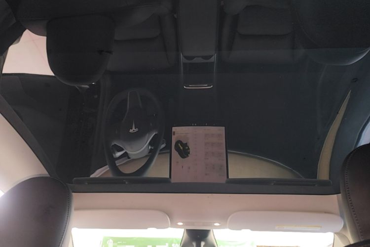 Used Tesla Model Y 2022 Rear-Wheel-Drive Version Headliner