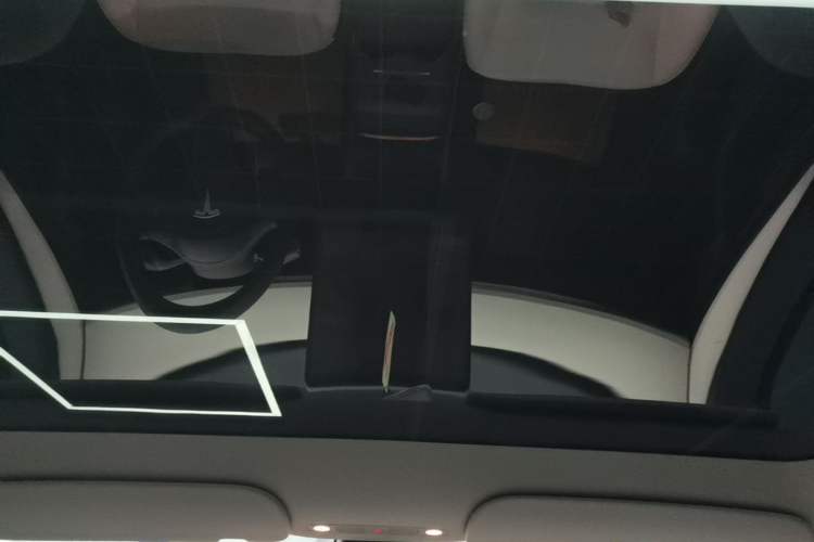 Used Tesla Model Y 2022 Rear-Wheel-Drive Version Headliner