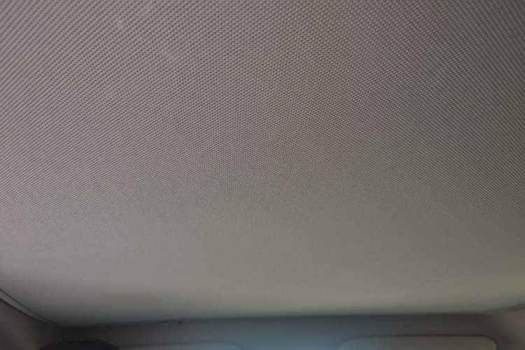 Used Tesla Model Y 2022 Revised Version Rear-Wheel Drive Headliner