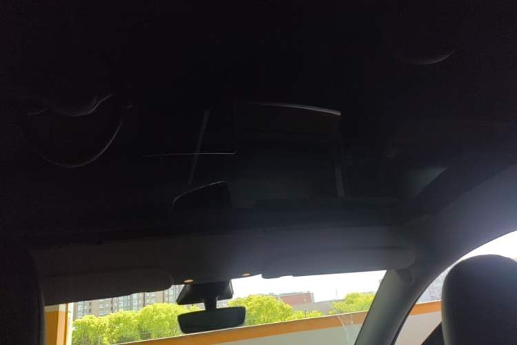 Used Tesla Model Y 2022 Revised Version Rear-Wheel Drive Headliner