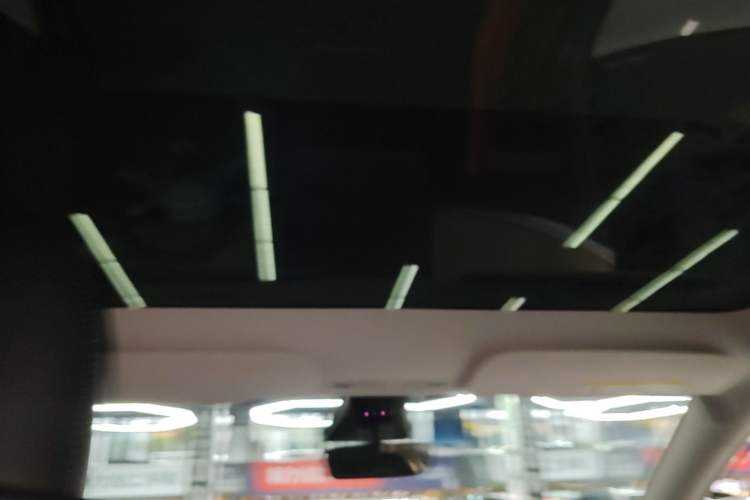 Used Tesla Model Y 2022 Revised Version Rear-Wheel Drive Headliner