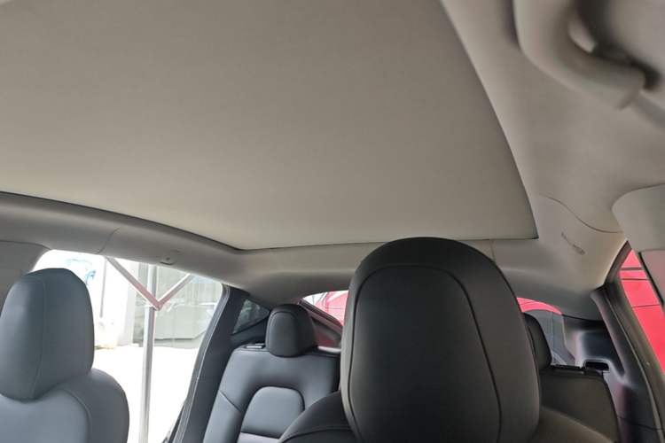 Used Tesla Model Y 2022 Performance High-Performance All-Wheel-Drive Version Headliner