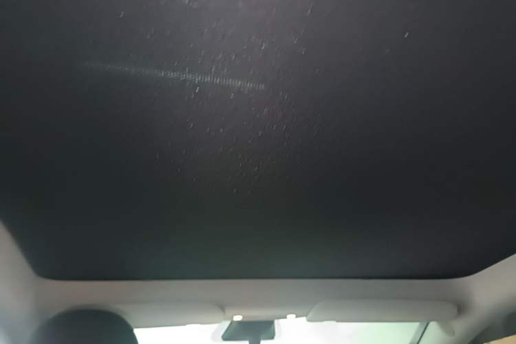 Used Tesla Model Y 2022 Revised Version Rear-Wheel Drive Headliner