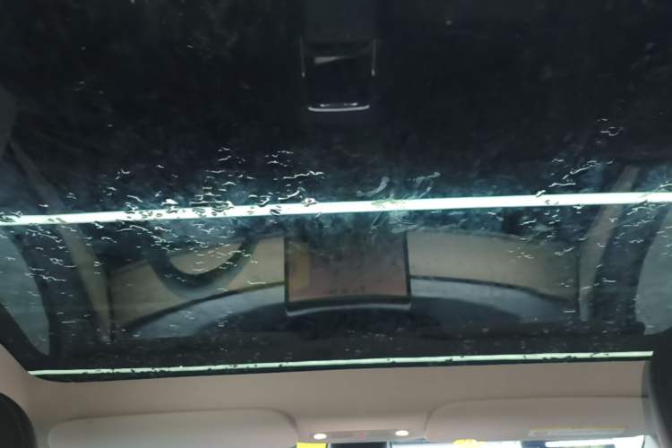 Used Tesla Model Y 2022 Revised Version Long-Range All-Wheel Drive Headliner