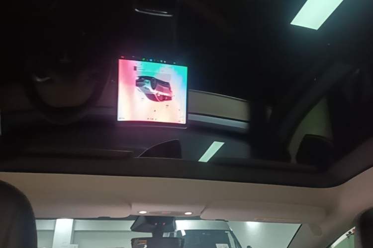 Used Tesla Model Y 2022 Rear-Wheel-Drive Version Headliner