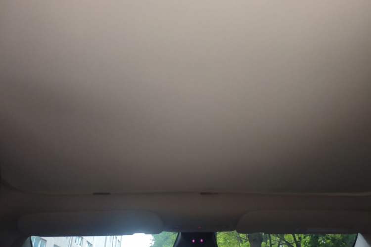Used Tesla Model Y 2022 Revised Version Rear-Wheel Drive Headliner